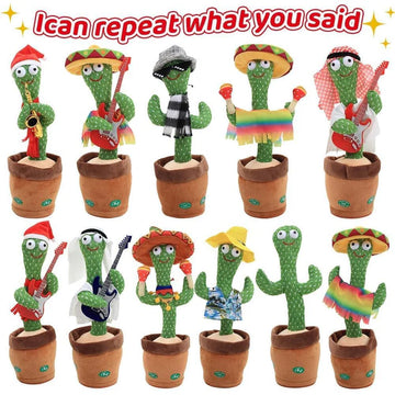 How to Find the Perfect Dancing Cactus for Your Kids