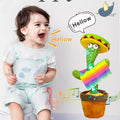 Sombrero Dancing Cactus with Maracas display