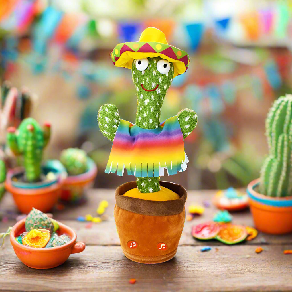 Rainbow Poncho Dancing Cactus 2