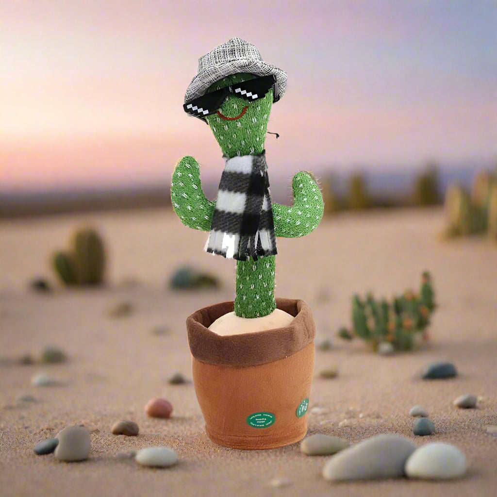 dancing cactus with grey hat in desert
