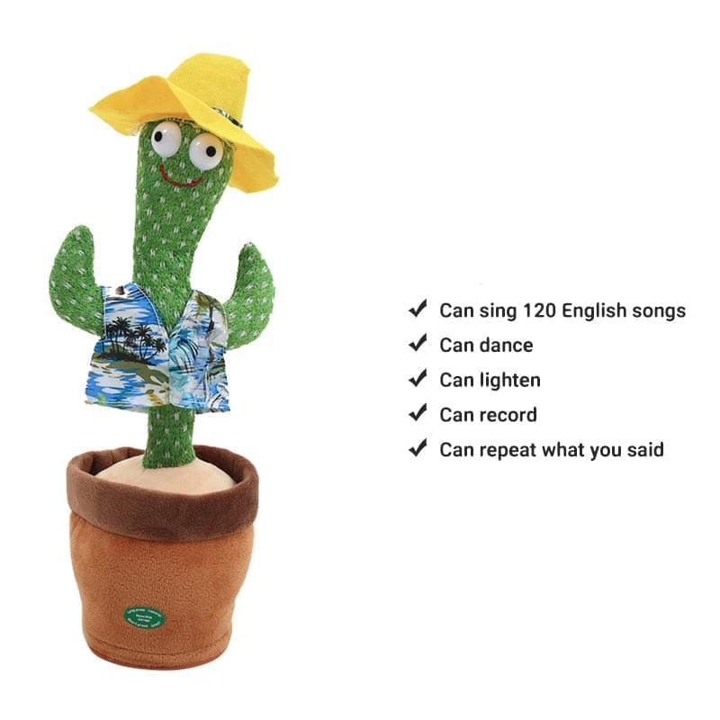 Dancing Cactus Toys: What to Know Before You Buy