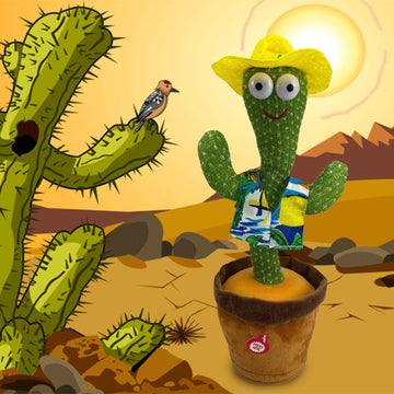 Cactus Toy Safety Tips: Keeping Fun and Safety Hand-in-Hand