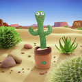 mimicking cactus toy